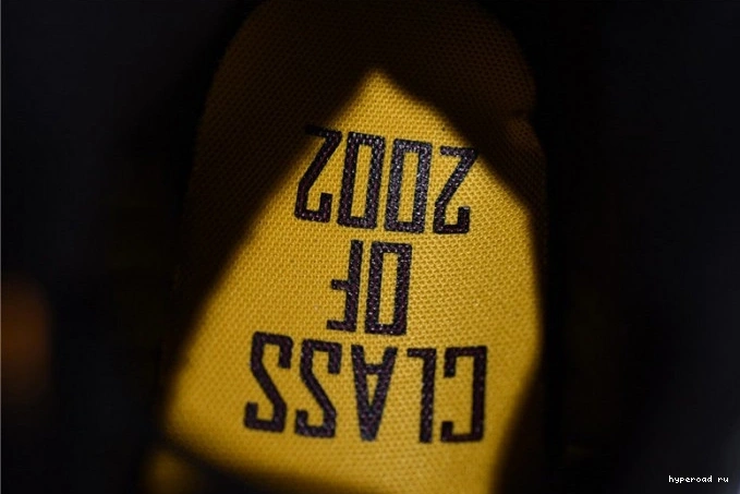 13 2002 414571-035 of Carmelo Jordan Air Class Anthony 1117